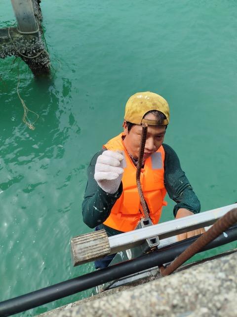 IMG_20250529_145923 Medium