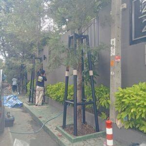 ช่างผู้เชี่ยวชาญติดตั้งเสาเหล็กค้ำยันต้นไม้ใหญ่ในเกาะสมุย